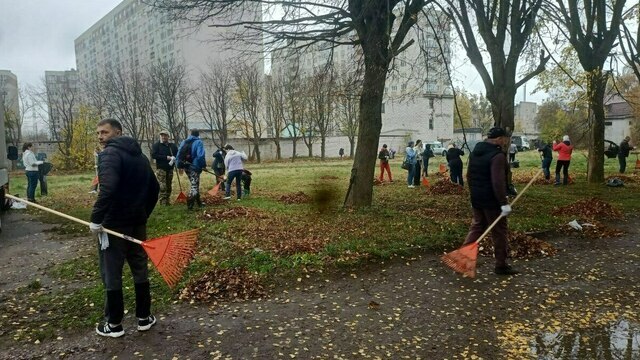 «Чиновнику полезно побыть полчаса дворником»: Дятлова — о субботнике в Калининграде (репортаж)     