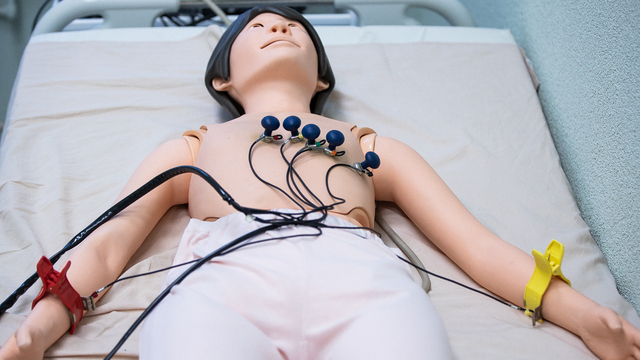 В БФУ им. И. Канта появились тренажёры для будущих студентов-стоматологов (фоторепортаж)