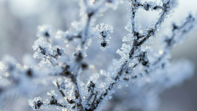 «Полярное вторжение», борьба калининградки с опухолью мозга, вторая волна мобилизации: 10 новостей, которые обсуждали на этой неделе 