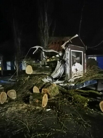 В Светлогорске дерево раздавило торговый павильон: первые последствия апрельского шторма (фото) - Новости Калининграда | Фото очевидцев