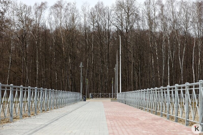 В Калининграде строят первый велопешеходный туннель под Окружной (фото) - Новости Калининграда | Фото: Александр Подгорчук / «Клопс»