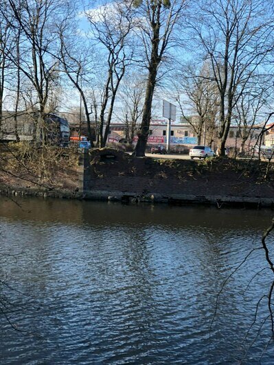 Калининградка бросилась в воду с отвесной стены за собакой и переплыла ров  | Фото: читатель Людмила 