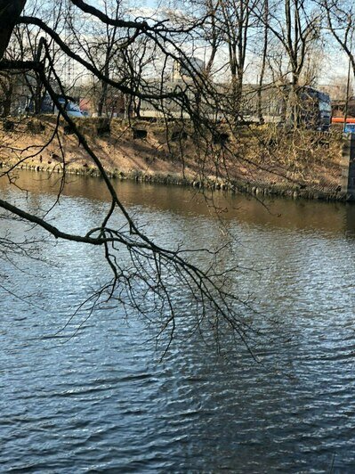 Калининградка бросилась в воду с отвесной стены за собакой и переплыла ров  | Фото: читатель Людмила 
