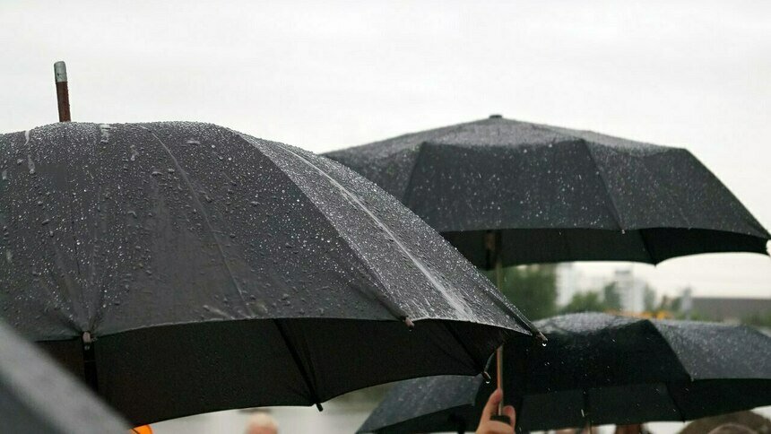 Синоптики рассказали о погоде в Калининграде на выходные - Новости Калининграда | Фото: Александр Подгорчук / Архив «Клопс»