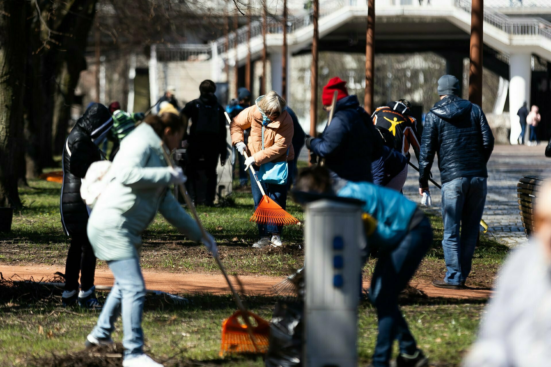 Грабли, веники и ветки: на острова Канта состоялся субботник (фоторепортаж) - Новости Калининграда | Фото: Александр Подгорчук / «Клопс»