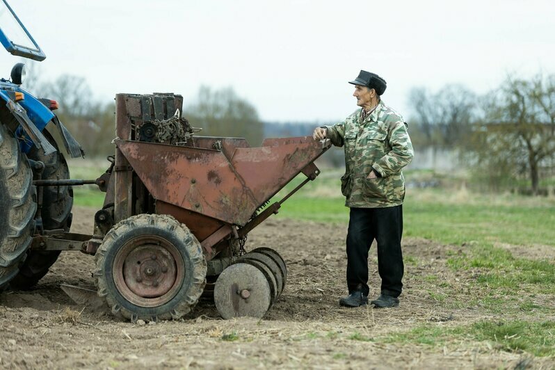 Жители Гусева сажают картошку на бесплатно выделенном огороде (фоторепортаж)  - Новости Калининграда | Фото: Александр Подгорчук / «Клопс»