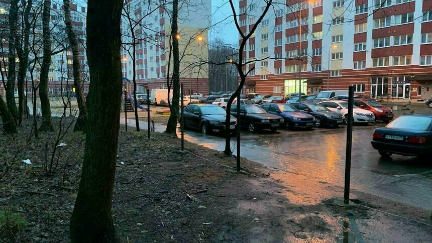В Калининграде демонтировали забор вокруг дубовой рощи  в микрорайоне Космодемьянского - Новости Калининграда | Фото: читатель