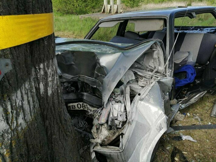 На трассе Ушаково — Мамоново Volkswagen врезался в дерево, водитель погиб - Новости Калининграда | Фото: очевидец
