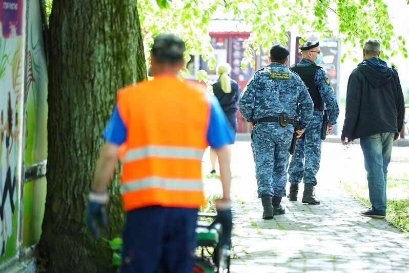 Тренажёры на траве и люди в форме: в Центральном парке разбирают помещение фитнес-клуба (фото, видео) - Новости Калининграда | Фото: Александр Подгорчук / «Клопс»