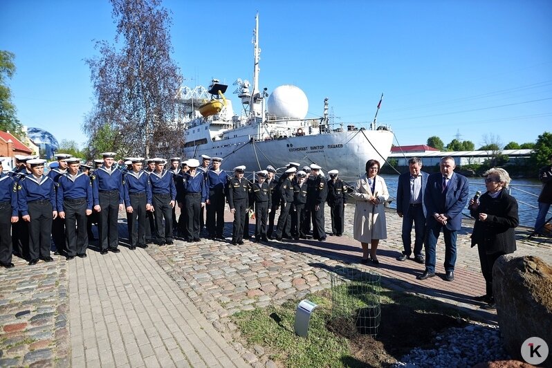 На набережной Музея Мирового океана кадеты высадили дубраву Петра I (фоторепортаж) - Новости Калининграда | Фото: Александр Подгорчук / «Клопс»