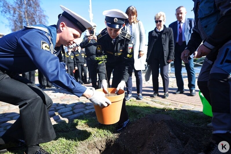 На набережной Музея Мирового океана кадеты высадили дубраву Петра I (фоторепортаж) - Новости Калининграда | Фото: Александр Подгорчук / «Клопс»