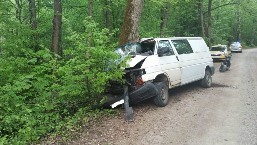 В Гвардейском районе пьяный водитель микроавтобуса не справился с управлением и врезался в дерево - Новости Калининграда | Фото: пресс-служба регионального УМВД