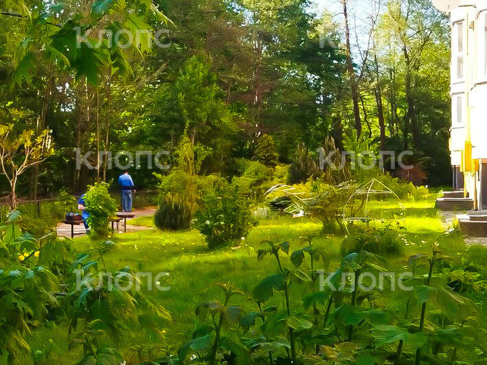 Место трагедии | Фото: очевидец
