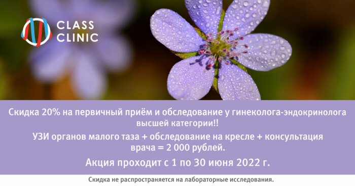 Скидка 20% на консультацию гинеколога высшей категории и ультразвуковое исследование - Новости Калининграда