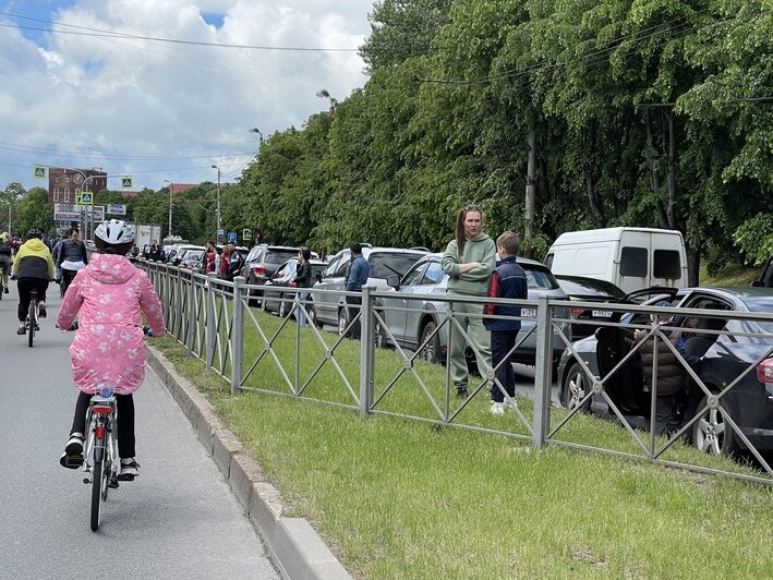 Московский проспект встал в пробке из-за велофестиваля (фото) - Новости Калининграда | Фото: очевидец