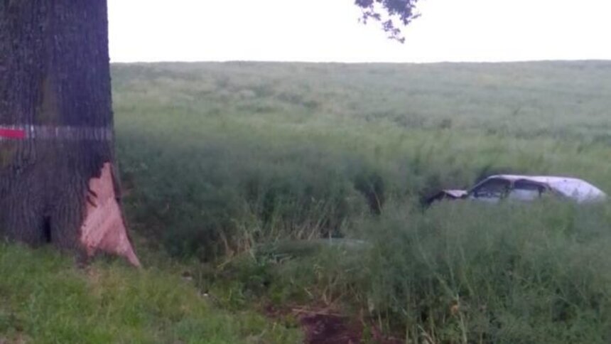 Под Нестеровом легковушка вылетела с трассы и врезалась в дерево, пострадали двое детей - Новости Калининграда | Фото: пресс-служба УМВД России по Калининградской области