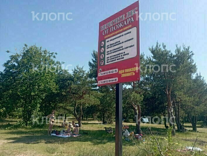 В Калининграде начались облавы на любителей готовить шашлыки на природе (фото, видео) - Новости Калининграда | Фото: «Клопс»