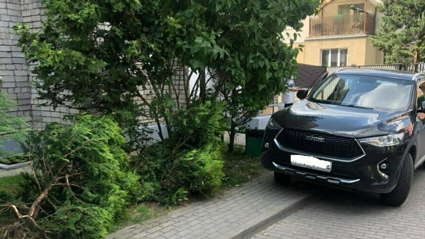 Калининградка случайно задела ручку переключения передач и задним ходом сбила старичка - Новости Калининграда | Фото: пресс-служба регионального УМВД