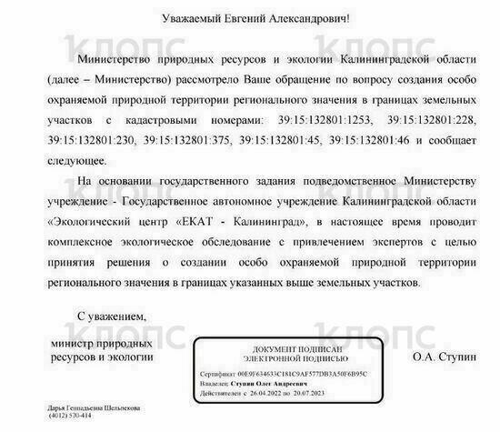 В Калининграде эксперты начали обследовать Суздальский лес, чтобы создать здесь охраняемую природную территорию  - Новости Калининграда | Фото: предоставил Евгений Токарь