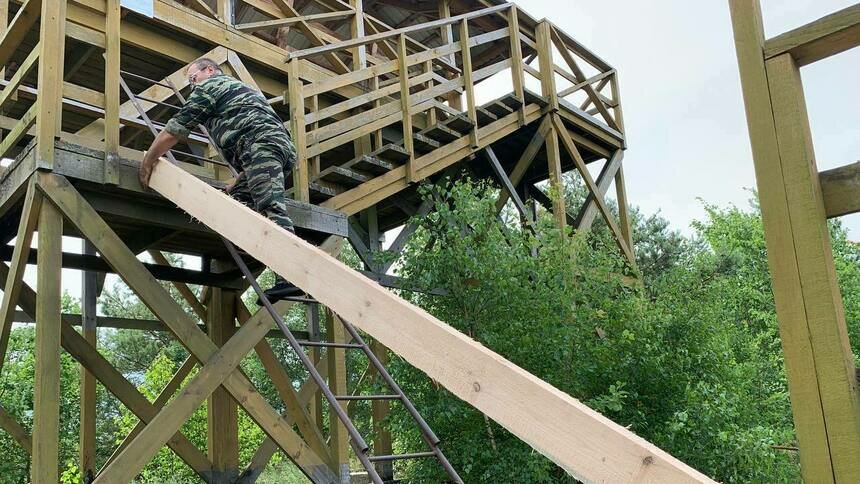 В нацпарке «Куршская коса» закрыли на реконструкцию самую высокую смотровую площадку - Новости Калининграда | Фото: пресс-служба национального парка «Куршская коса»