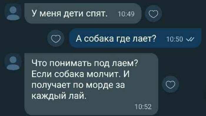 Ответы хозяйки собаки на просьбу соблюдать тишину | Фото: скриншот переписки в общедомовом чате