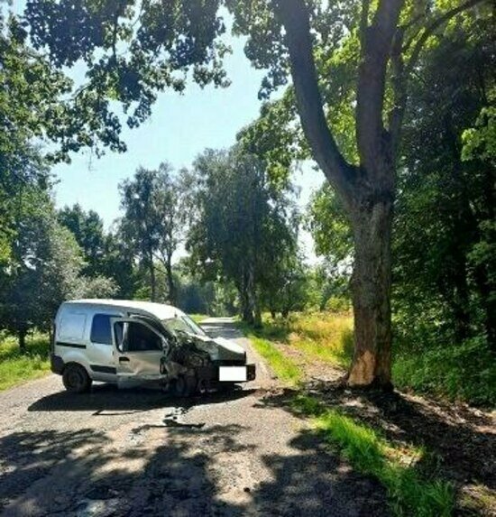 Под Багратионовском легковушка врезалась в дерево из-за выскочившей на дорогу собаки - Новости Калининграда | Фото: пресс-служба регионального УМВД