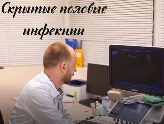 Уролог-андролог: При хорошем иммунитете половые инфекции могут себя не проявлять - Новости Калининграда