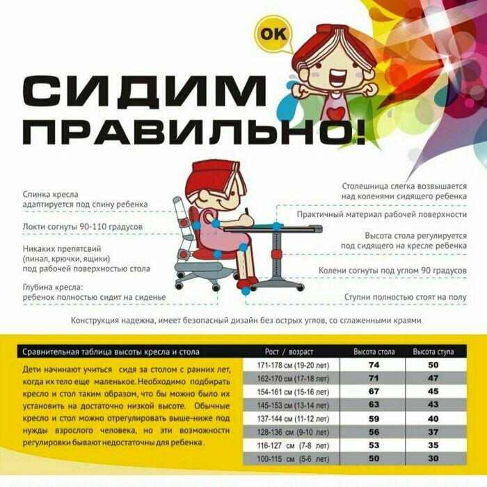 Собираем ребенка в школу: «растущая» мебель — приоритетная покупка для школьника - Новости Калининграда