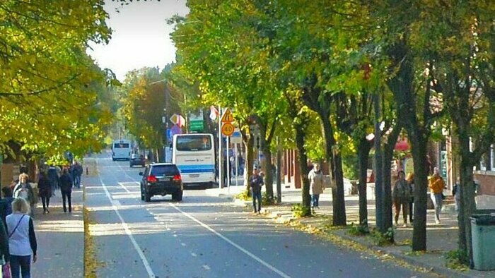 Светлогорск, Зеленоградск и другие: какие ловушки ждут водителей в приморских городах   - Новости Калининграда | Скриншот сервиса «Яндекс.Карты»