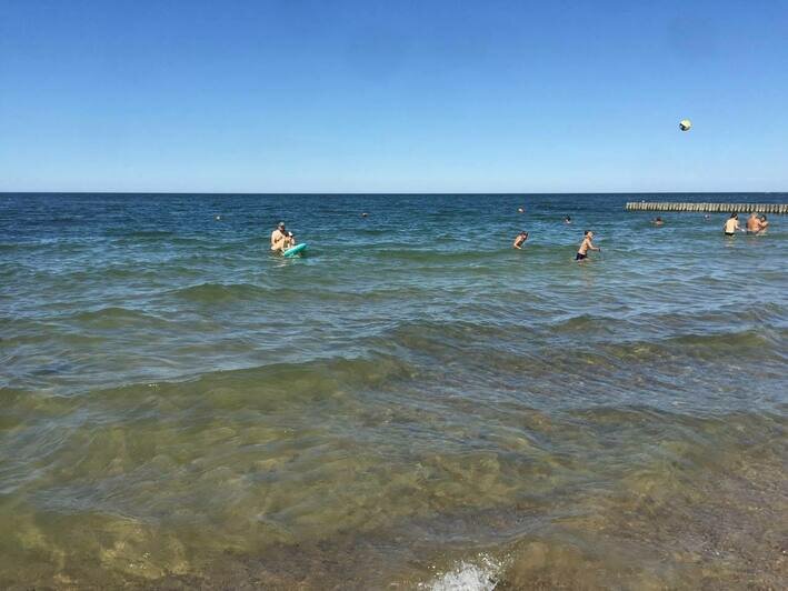 Алиханов показал заполненный отдыхающими пляж в Зеленоградске (фото) - Новости Калининграда | Фото: очевидец