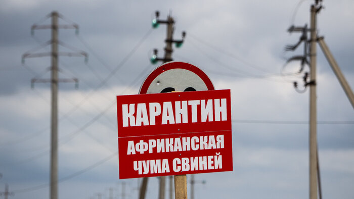 Литва хочет запретить въезд россиянам, калининградский призывник умер в Петербурге: 9 обсуждаемых новостей выходных - Новости Калининграда | Фото: архив «Клопс»