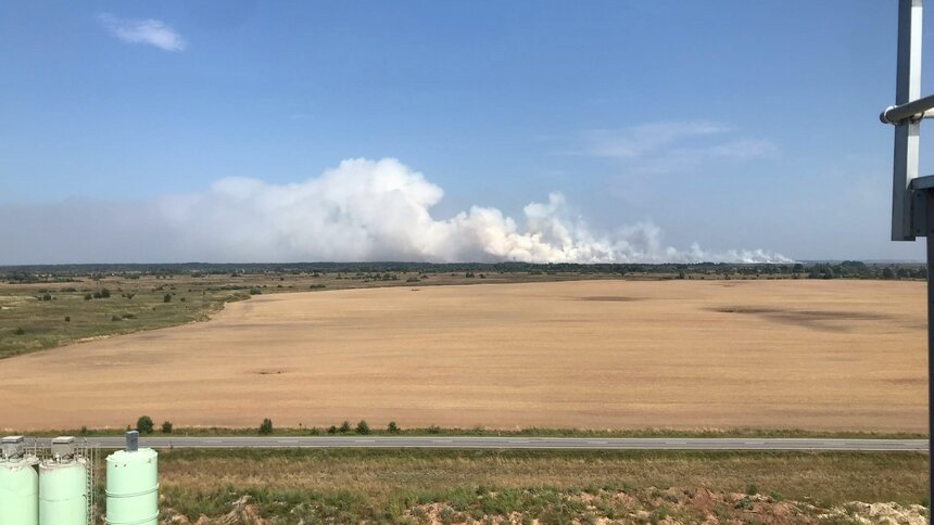 В правительстве назвали причину запаха гари в Калининграде - Новости Калининграда | Фото: очевидец 