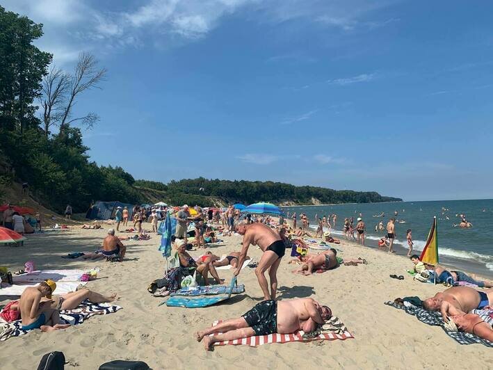 Полуголые танцы, битва за места в электричке и лошадь в воде: как калининградцы съездили к морю, часть 2 - Новости Калининграда | Фото предоставил герой публикации