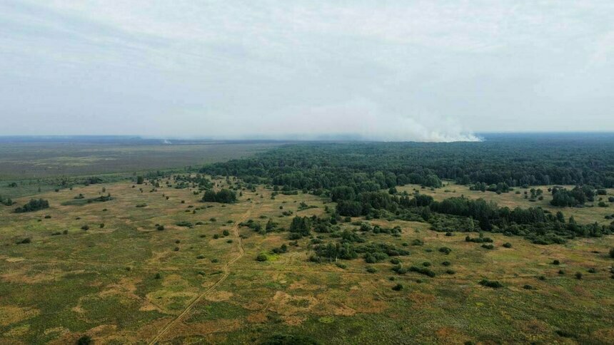 В Калининградской области потушили горевший на площади в 330 га торфяник - Новости Калининграда | Александр Подгорчук / «Клопс»