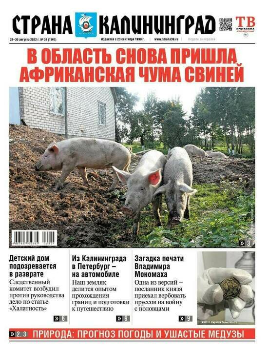 Как добраться из Калининграда в Петербург на автомобиле: читайте в газете «Страна Калининград» - Новости Калининграда