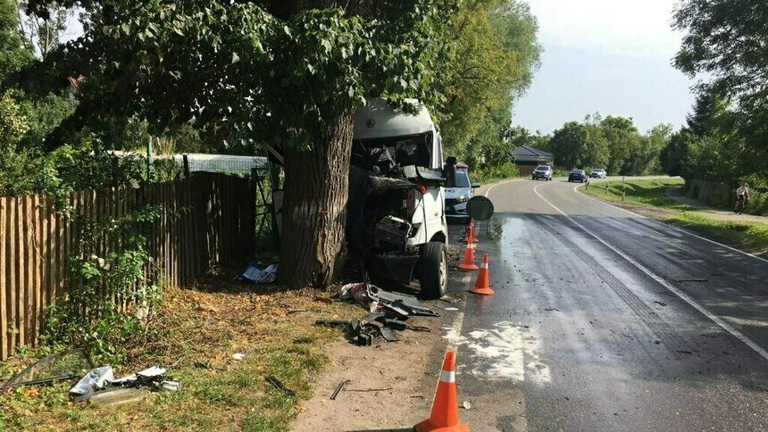 В полиции рассказали подробности ДТП в Луговом, где водитель микроавтобуса вылетел через лобовое - Новости Калининграда | Фото: пресс-служба регионального УМВД
