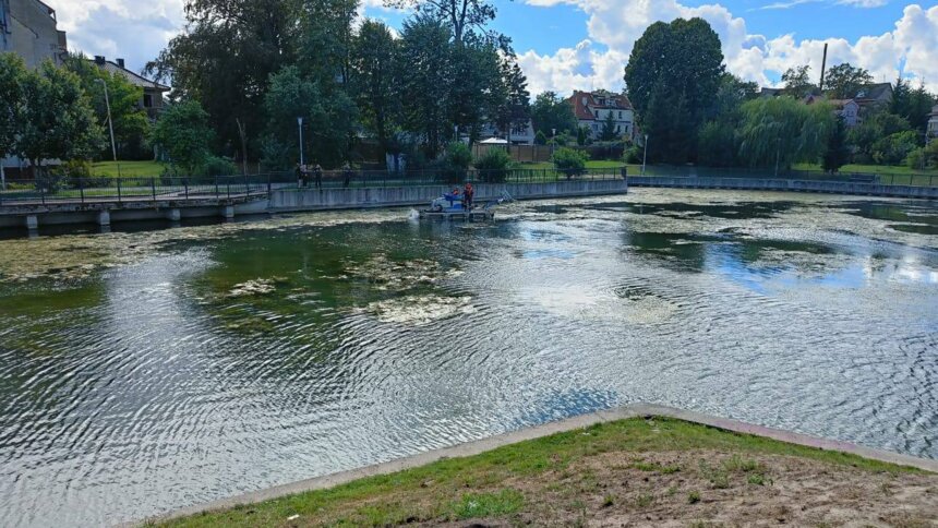 На озере Поплавок в Калининграде гибнут утки - Новости Калининграда | Фото: пресс-служба прокуратуры Калининградской области