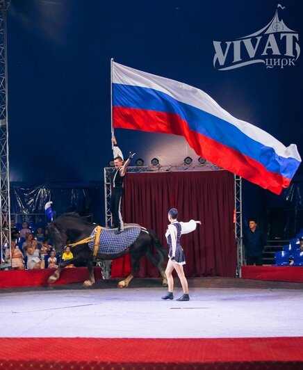 Бенгальские тигры и другие чудеса: в Калининград прибыл цирк-шапито - Новости Калининграда