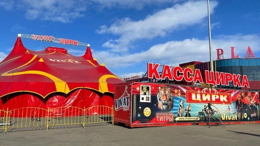 Бенгальские тигры и другие чудеса: в Калининград прибыл цирк-шапито - Новости Калининграда