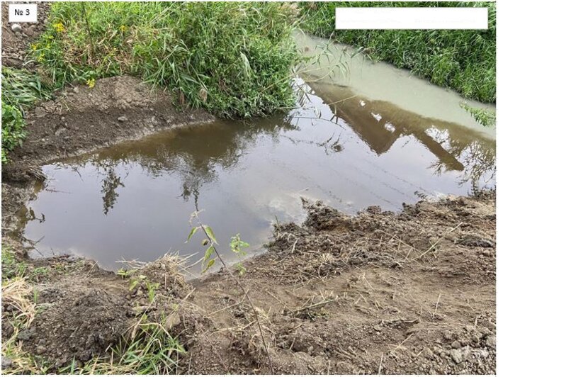 Вода в ручье стала мутной от взвеси  | Фото: очевидец 