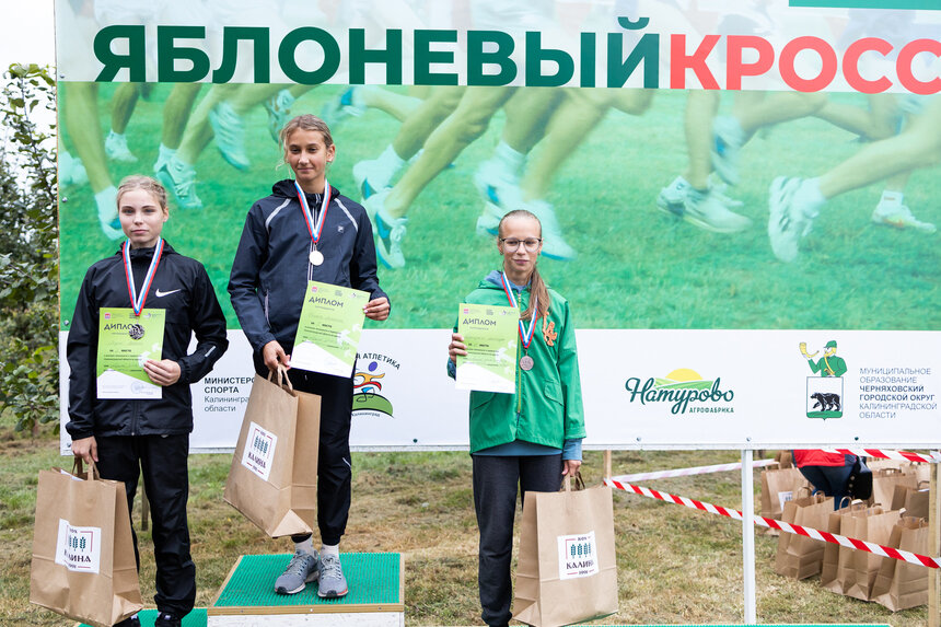 Победы, медали и угощения в осеннем саду: как прошёл «Яблоневый кросс» - Новости Калининграда