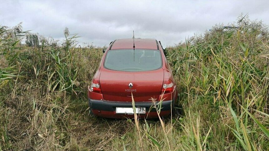 В Правдинском районе легковушка на высокой скорости вылетела в кювет, водителя госпитализировали - Новости Калининграда | Фото: пресс-служба регионального УМВД