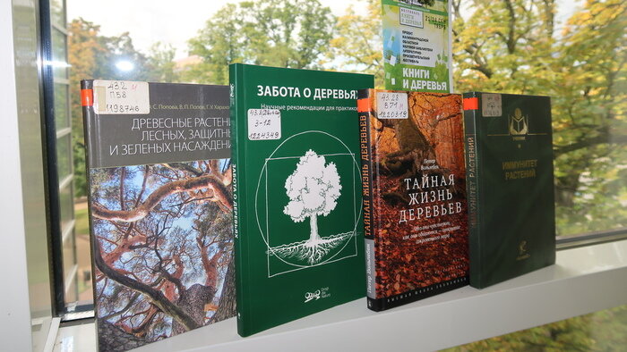 Литературно-просветительский фестиваль «Книги &amp; деревья» в научной библиотеке - Новости Калининграда