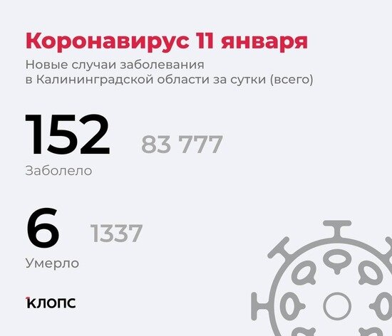 Подтвердилось ещё 6 смертей: подробности о ситуации с коронавирусом в Калининградской области - Новости Калининграда