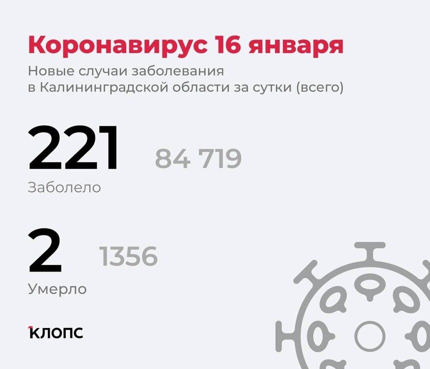 Ещё 2 смерти: калининградский оперштаб рассказал подробности о ситуации с коронавирусом - Новости Калининграда