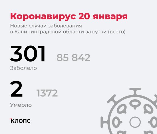 У 282 — ОРВИ, у 8 — пневмония: подробности о ситуации с ковидом в Калининградской области - Новости Калининграда