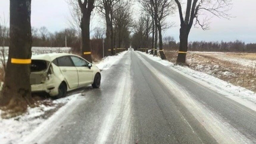В Зеленоградском районе водитель авто превысил скорость и влетел в дерево  - Новости Калининграда | Фото: ГИБДД региона