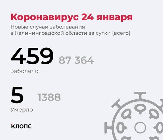 40 школьников, 12 детсадовцев, 67 пенсионеров: подробности о ситуации с ковидом в Калининградской области - Новости Калининграда