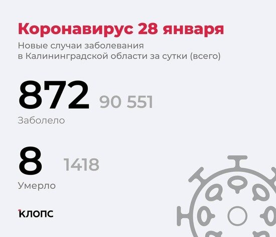 211 школьников, 38 детсадовцев: подробности о ситуации с ковидом в Калининградской области - Новости Калининграда