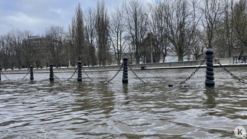 В Преголе растёт уровень воды, ветер повалил деревья: как Калининград переживает очередную непогоду - Новости Калининграда | Фото: Александр Подгорчук / Архив «Клопс»